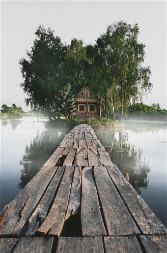 picture