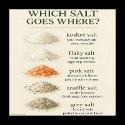7-18-2025  Salty