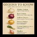 7-18-2025 Onions