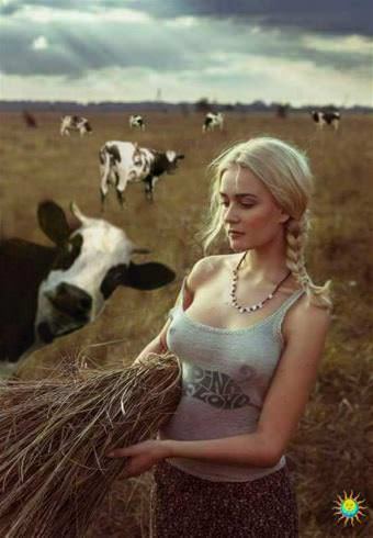 picture