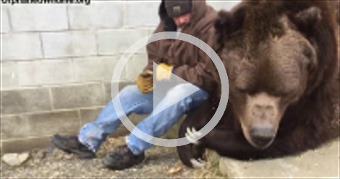 When your bear had a hard day and needs some extra