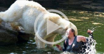 Bear Attacks a Snorlax