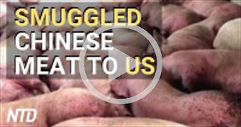 China is trying to infect and cripple US food supp