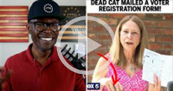 Pet CAT In Atlanta Gets Mailed A Voter Registratio