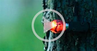 Firing a 12 Gauge outside the Barrel SlowMo