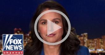 Tulsi Gabbard: Proposed domestic terrorism laws 'd