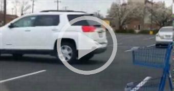 Parking Lot Kung-Fu Panda