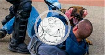 Dutch Police Unleash Attack Dogs On Anti Lockdown 