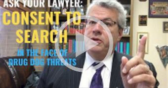 Consent to Search & Drug Dogs | "If you don't cons