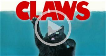 CLAWS! (Jaws OwlKitty parody)