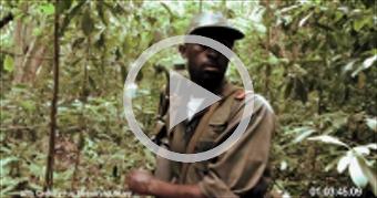 Chimp with Machete