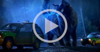 Jurassic Park but with a Cat