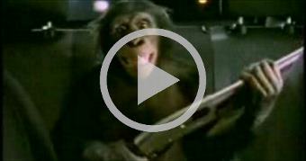 The offficial Trunk Monkey Trilogy.