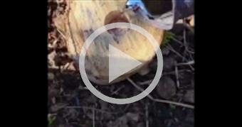 When Pouring Molten Aluminum Goes Mysteriously Wro