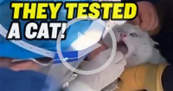 China’s STUPID Methods Can’t Stop Covid
