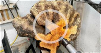 Woodturning:  The Bursting Burl!