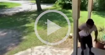 Amazon porch pirate meet Marine Corps(strong langu