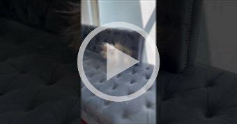 https://youtu.be/FJmEPn1yZgg