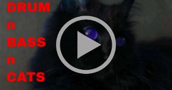 DRUM n BASS n CATS ON RAVE HOT DRUM AND BASS TEASE
