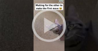 https://youtu.be/xHt6V8Wiy6Y