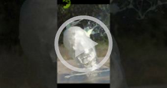 https://youtu.be/zhBIi-pXIKE