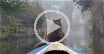 https://youtu.be/jtkSj0-UsdU