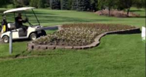 Golf cart jumps flower bed and lands hard