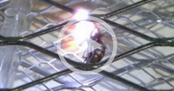 Electric Bug Zapper in Slow Motion - The Slow Mo G